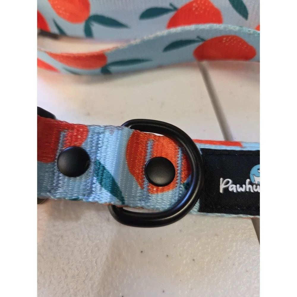 Paw Huggies Dog Collar & Leash Set Orange Fruit Print‎ Adjustable Blue NWT